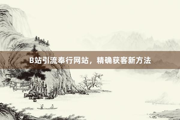B站引流奉行网站，精确获客新方法